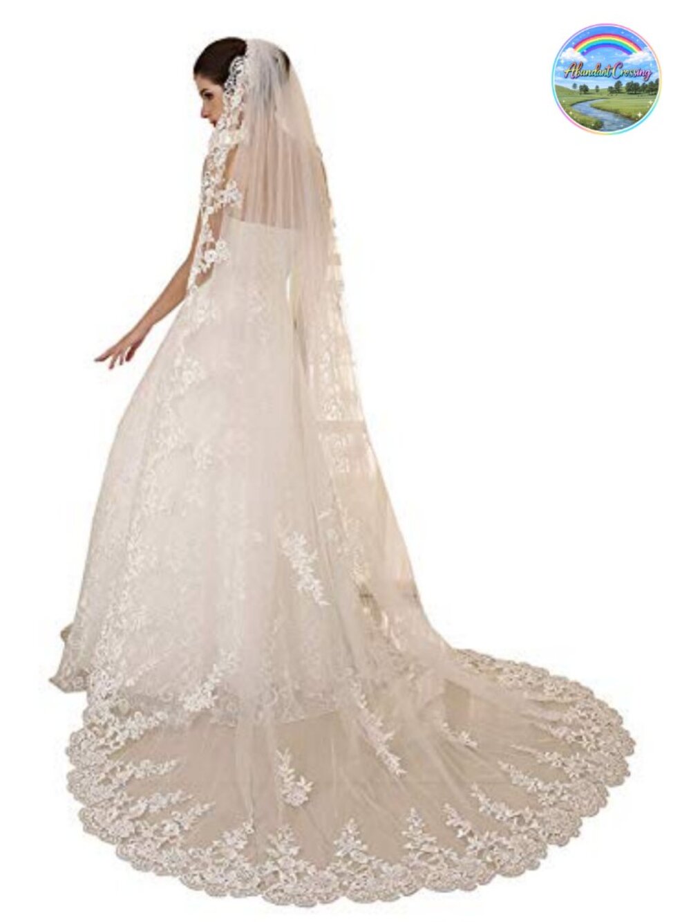 Long Tulle Lace Bridal Veil with Comb 1 Tier Cathedral Train
